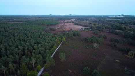Massive-forest-landscape-with-deforested-areas-in-Belgium,-aerial-drone-view