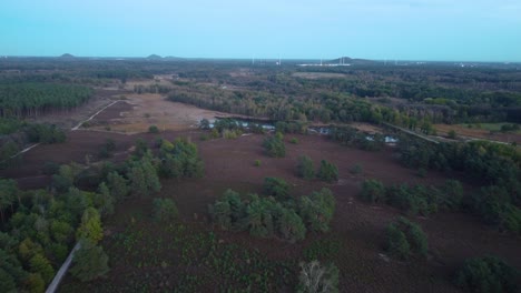 Woodland-landscape-with-deforested-land-plots,-aerial-drone-view