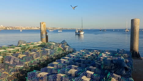 Hummer-Fischernetze-Auf-Dem-Pier,-Grün,-Blau-Und-Weiß,-Boote-Im-Hintergrund