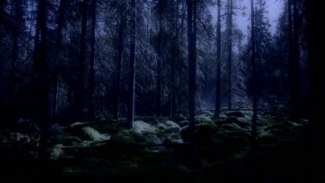 Scary-mystical-forest-lit-by-moonlight-at-night,-reveal-ascending-view