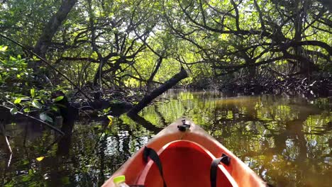 Front-of-orange-kayak-drifting-through-dense-mangrove-ecosystem-with-bright-sunlight-flares-through-trees-in-the-wilderness-of-Pohnpei,-Federated-States-of-Micronesia