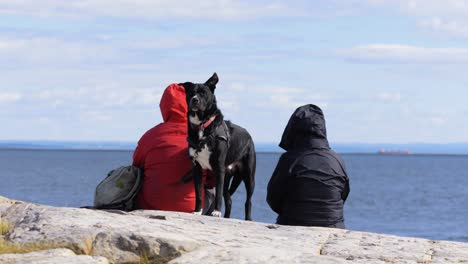 Dog-with-couple-on-rocks-in-Tadoussac-Quebec-Canada