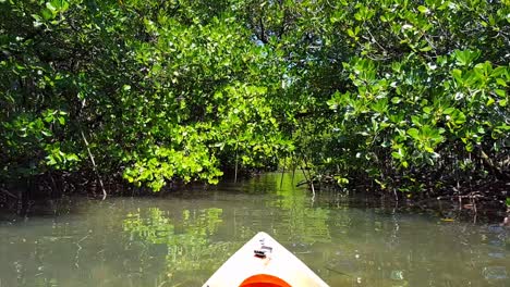 Front-of-kayak-moving-over-water-towards-a-dense-ecosystem-of-mangroves,-kayaking-and-exploring-outdoors-wilderness-environment-in-Pohnpei,-Federated-States-of-Micronesia