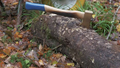 Hatchet-stuck-into-a-felled-tree-in-the-woods