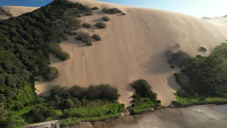 Ahipara-Sanddünen,-Abgelegene-Wüstenähnliche-Landschaft,-90-Meilen-Strand,-Neuseeland