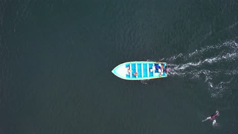 Aerial-view-of-dolphins-hopping-around-a-tour-boat---top-down,-drone-shot