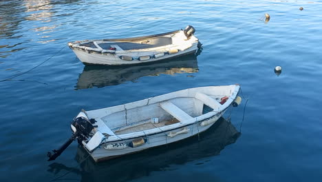 Zwei-Kleine-Fischerboote,-Die-An-Der-Seebrücke-Festgemacht-Sind,-Mit-Ruhigem-Und-Blauem-Wasser