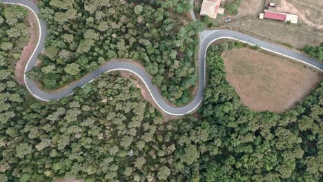 top-view-zoom-of-a-curved-asphalt-road,-crossing-a-forest-with-a-littel-farm-on-the-side