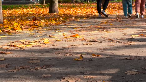 People-Walking-On-The-Park-With-Fallen-Autumn-Leaves-At-The-Ground