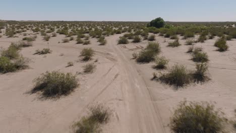 Aerial-Drone-Shot-of-Desert-Oasis-in-California,-Sandy-Off-Road-Path-With-Tracks-and-Shrubs