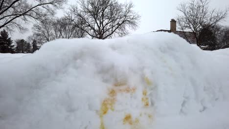 Dog-Urine-on-the-fresh-snow-fall-near-sidewalk