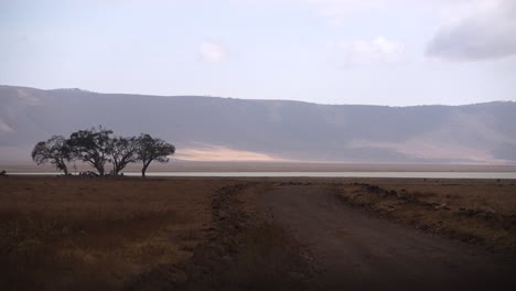 Lone-dirt-road-with-tree-on-left-at-Ngorongoro-crater-lake-in-Tanzania-Africa,-Handheld-wide-angle-shot