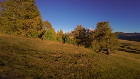 Mountains,-forest-and-grass-fields-filmed-at-Alpe-di-Siusi-in-Alps,-Italian-Dolomites-filmed-in-vibrant-colors-at-sunset