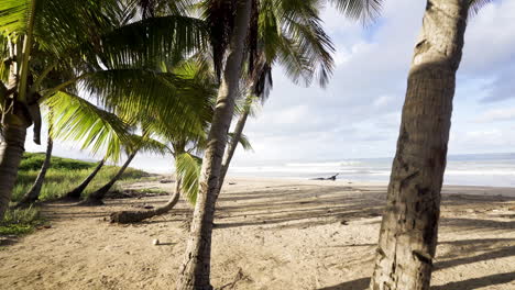 Allein-Zu-Fuß-In-Einem-Einsamen-Sandstrand-Am-Karibischen-Ozean-Meer-In-Costa-Rica-Reisen-Urlaubsparadies