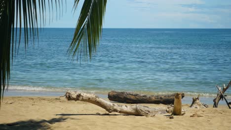Treibholz-An-Einem-Tropischen-Strand,-Eingerahmt-Von-Palmenblättern