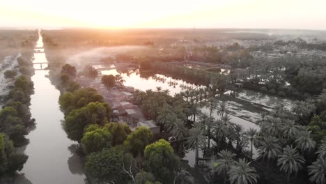 Aerial-shot-of-water-channel-in-the-side-of-road-with-palm-tree-forest