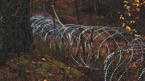 Barbed-wire-for-border-protection