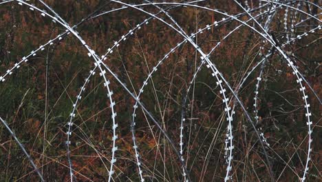 Barbed-wire-for-border-protection