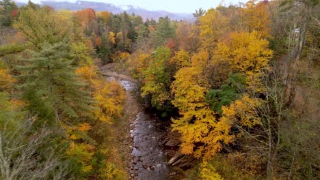 new-england-brilliant-leaf-color-over-stream-in-east-arlington-vermont-area