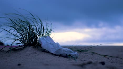 Plastic-bag-stuck-on-beach-grass,-trash-and-waste-litter-on-an-empty-Baltic-sea-white-sand-beach,-environmental-pollution-problem,-overcast-evening-after-the-sunset,-dark-dramatic-clouds,-closeup-shot
