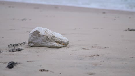 Empty-plastic-bag-on-the-shore,-trash-and-waste-litter-on-an-empty-Baltic-sea-white-sand-beach,-environmental-pollution-problem,-overcast-day,-medium-shot