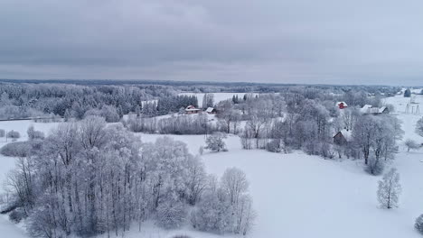 Schneebedeckte-Nordische-Landschaft-In-Der-Wintersaison-Mit-Verstreuten-Häusern-Und-Hütten