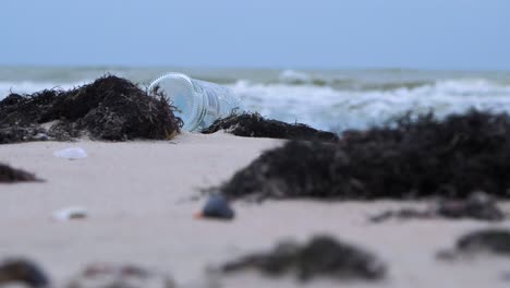 Leere-Glasflasche-Am-Strand,-Müll-Und-Abfall-An-Einem-Leeren-Weißen-Sandstrand-Der-Ostsee,-Umweltverschmutzungsproblem,-Bewölkter-Tag,-Niedriger-Mittlerer-Schuss-Durch-Die-Trockenen-Algen