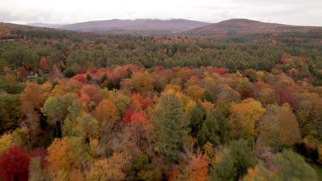 El-Otoño-Y-Las-Hojas-De-Otoño-Empujan-Sobre-Las-Coloridas-Copas-De-Los-árboles-En-Londonderry-Vermont