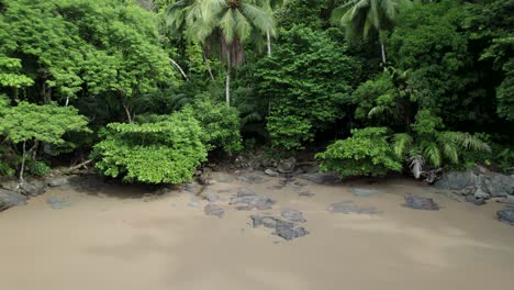 Tropischer-Strand-Von-Drake-Bay-Versteckt-Im-Dschungel-An-Der-Ozeanküste-Von-Costa-Rica