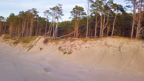 Beautiful-aerial-establishing-view-of-Baltic-sea-coast-on-a-sunny-evening,-golden-hour,-beach-with-white-sand,-coastal-erosion,-climate-changes,-wide-angle-ascending-drone-shot-moving-forward