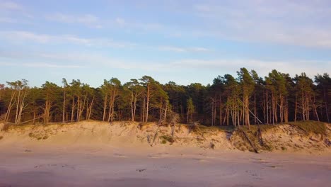 Beautiful-aerial-establishing-view-of-Baltic-sea-coast-on-a-sunny-evening,-golden-hour,-beach-with-white-sand,-coastal-erosion,-climate-changes,-wide-angle-ascending-drone-shot-moving-forward