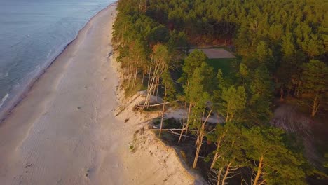 Beautiful-aerial-establishing-view-of-Baltic-sea-coast-on-a-sunny-evening,-golden-hour,-beach-with-white-sand,-coastal-erosion,-climate-changes,-wide-angle-birdseye-drone-shot-moving-forward