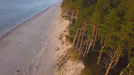 Beautiful-aerial-establishing-view-of-Baltic-sea-coast-on-a-sunny-evening,-golden-hour,-beach-with-white-sand,-coastal-erosion,-climate-changes,-wide-angle-birdseye-drone-shot-moving-forward