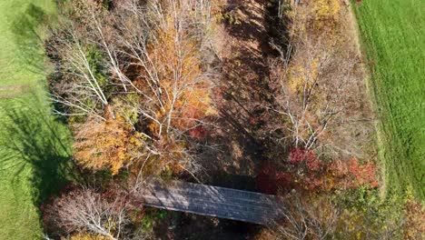 aerial-over-creek-in-fall-near-reading-vermont