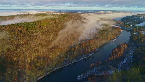 Aerial-view-over-foggy-forested-landscape-and-river---pristine-nature,-Gauja