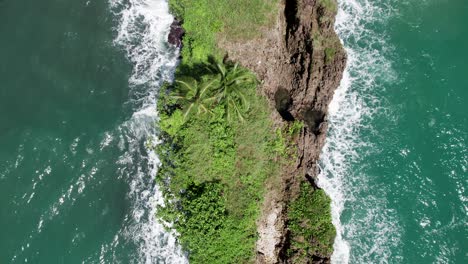 Small-tropical-island-rock-with-palm-tree-in-pacific-ocean-waves