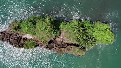 Tiny-tropical-island-reef-with-palm-trees-in-pacific-ocean,-Costa-Rica