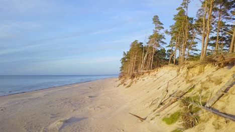 Beautiful-aerial-establishing-view-of-Baltic-sea-coast-on-a-sunny-evening,-golden-hour,-beach-with-white-sand,-coastal-erosion,-climate-changes,-wide-angle-drone-shot-moving-backward
