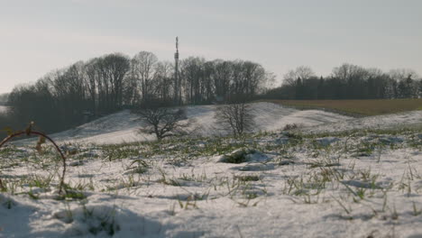 Landschaft-Mit-Schmelzendem-Schnee-Und-Bäumen