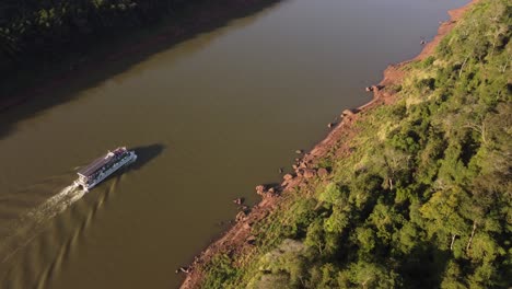 Drone-tracking-shot-of-tourist-ferry-cruising-on-Iguazu-river-in-sunset-on-border-between-Argentina-and-Brazil