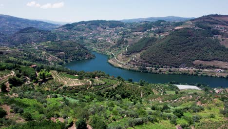 Countryside-wine-region-in-river-Douro-valley,-vineyards-on-hillside