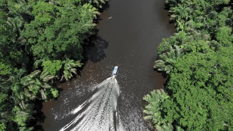 Motorboot-Mit-Dachkreuzfahrt-Auf-Tropischem-Dschungelfluss-In-Costa-Rica