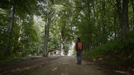Gimbal-tracking-a-young-hiker-with-a-orange-backpack-and-gurgundy-red-hoody-walking-on-a-forest-path-walking-towards-the-forest-cabin