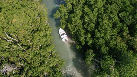 Motorboot,-Das-Versucht,-Durch-Den-Kleinen-Dschungelfluss-Stromaufwärts-Des-Mexikanischen-Dschungels-Zu-Gelangen