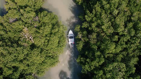 Aerial-Birds-Eye-View-Tracking-Speedboat-Navigating-Through-Forest-River-Out-To-Open-Ocean