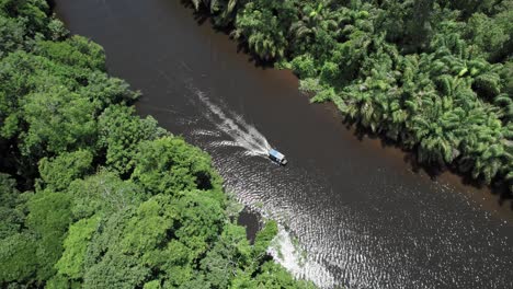 Motorboot-Mit-Dachkreuzfahrt-Auf-Sonnendurchflutetem-Dschungelfluss-In-Costa-Rica