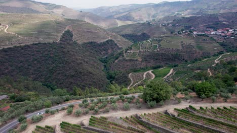 Road-around-vineyard-terraces-above-Douro-valley-countryside,-Portugal