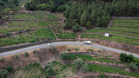 Small-car-driving-on-mountain-road-between-vineyard-terraces,-Portugal