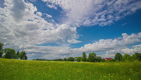 Schöner-Zeitraffer-Einer-Blumenwiese-Mit-Wald-Unter-Einem-Blauen-Himmel-Mit-Vorbeiziehenden-Weißen-Wolken