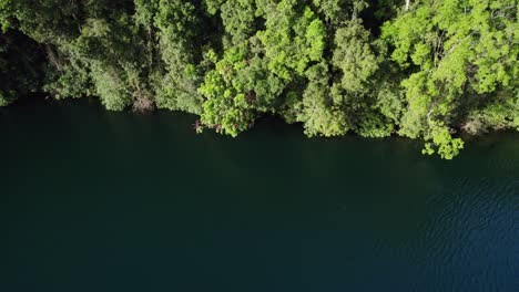 Lush-Rainforest-And-Serene-Water-Of-Lake-Eacham-In-Atherton-Tableland,-Queensland,-Australia---aerial-sideways